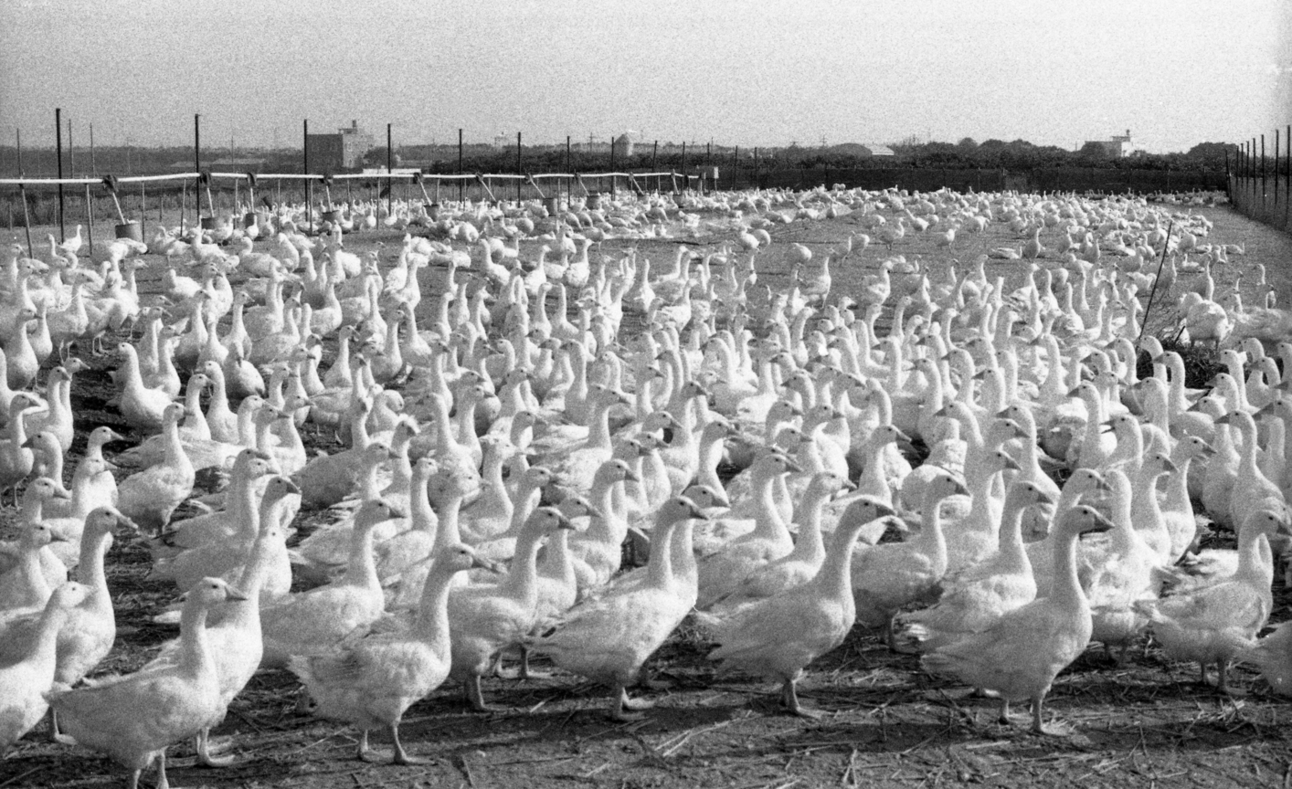 2014-0131-3--Image36 (20)(修).jpg