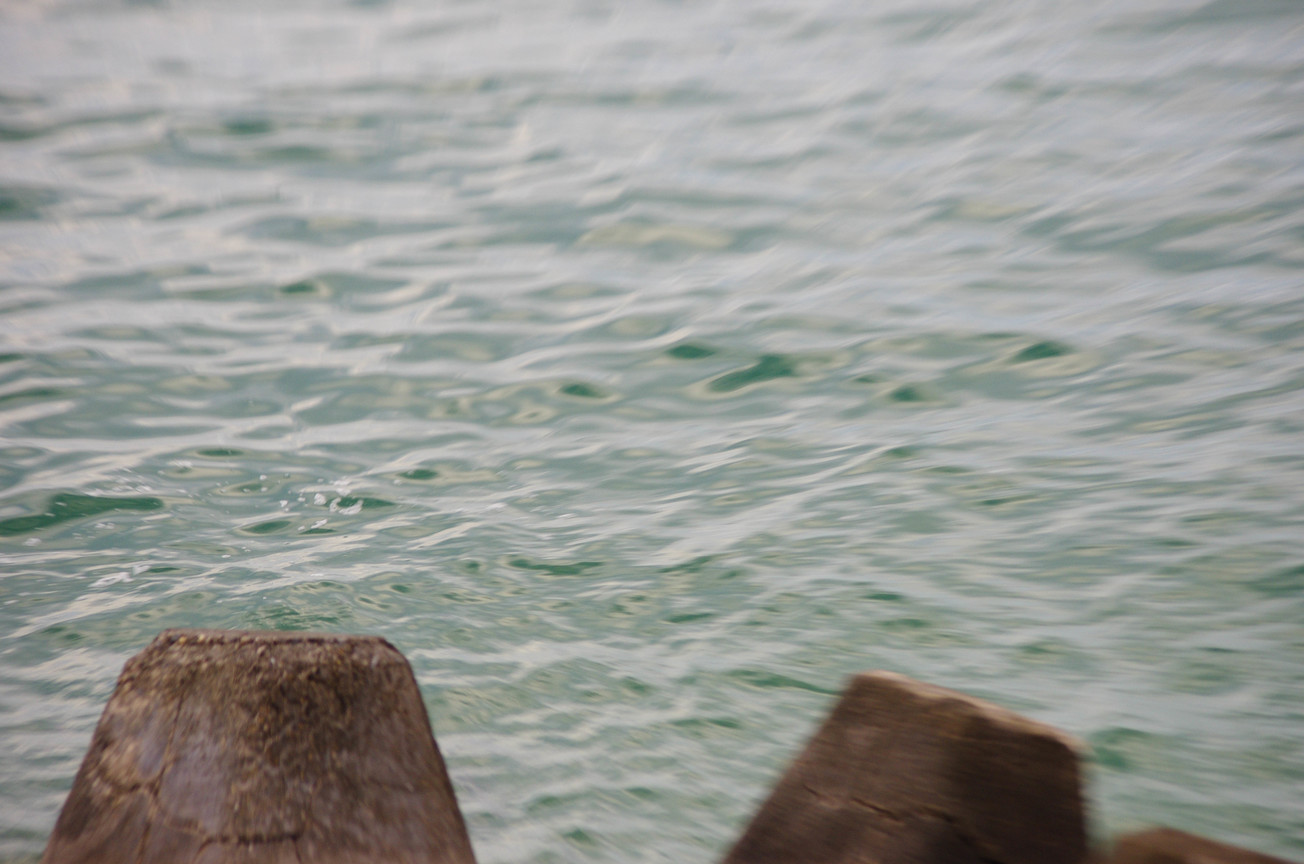海