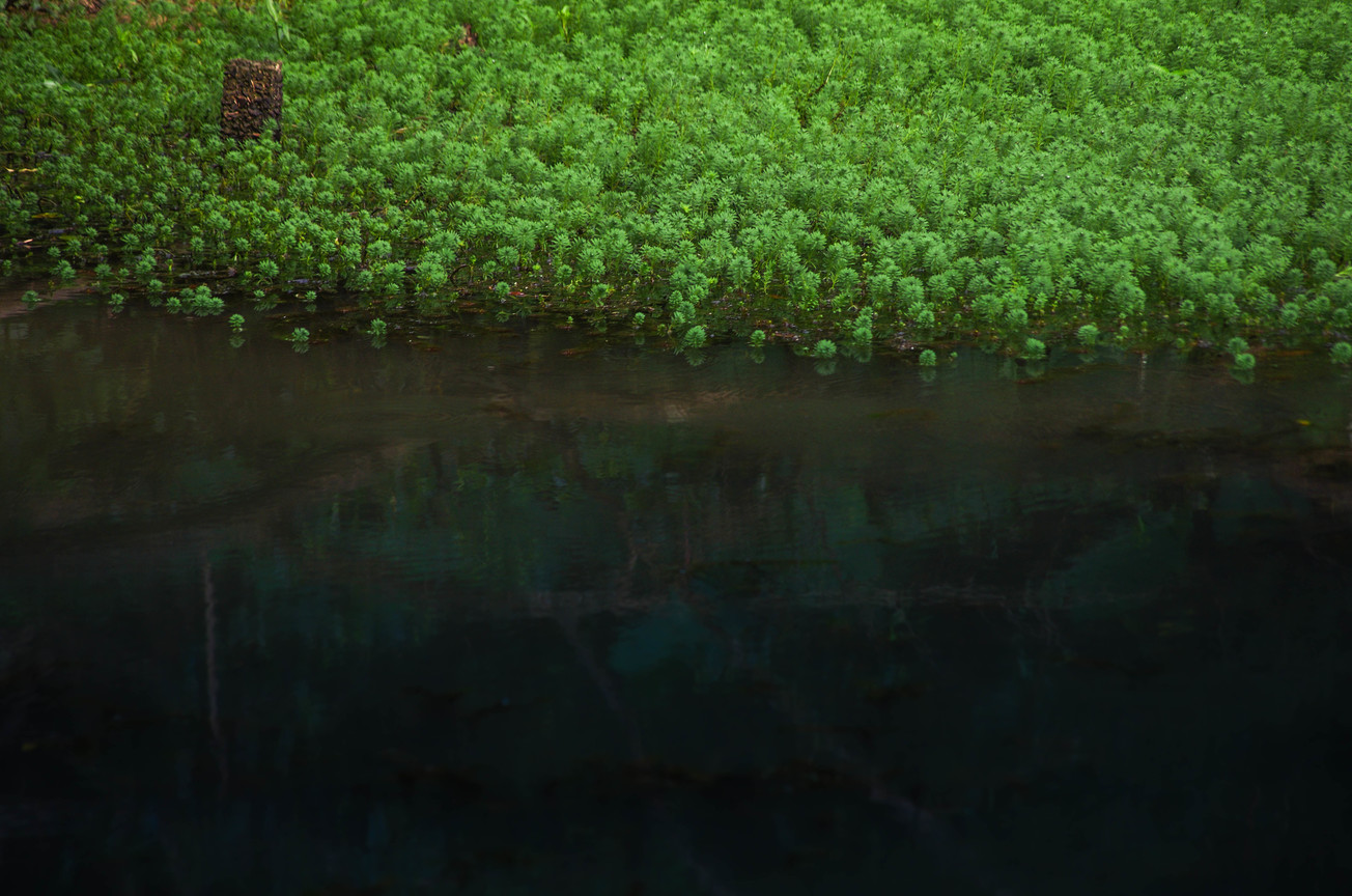 綠水