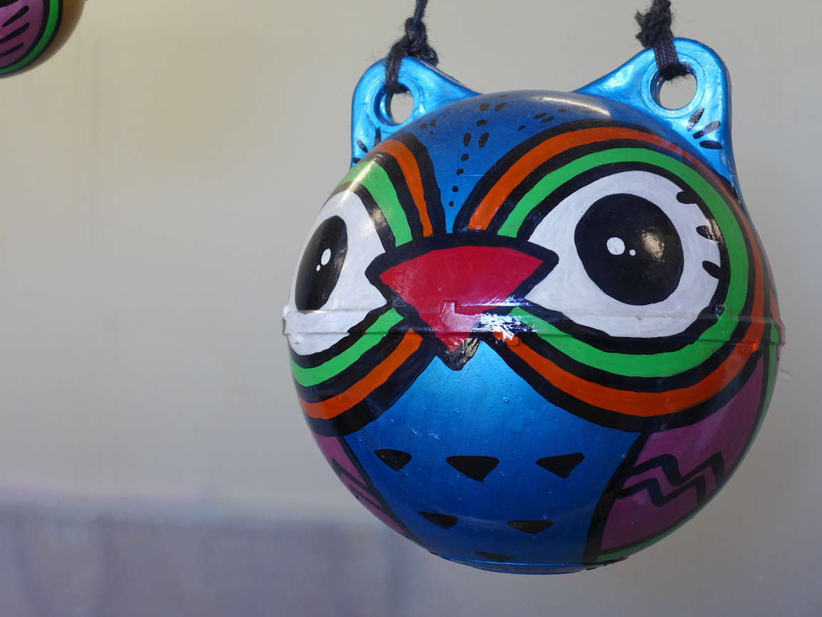 浮球──飛魚，我回來了