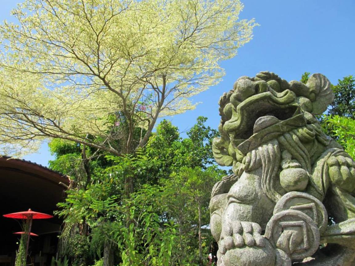 【美濃】【日本】傻傻分不清楚