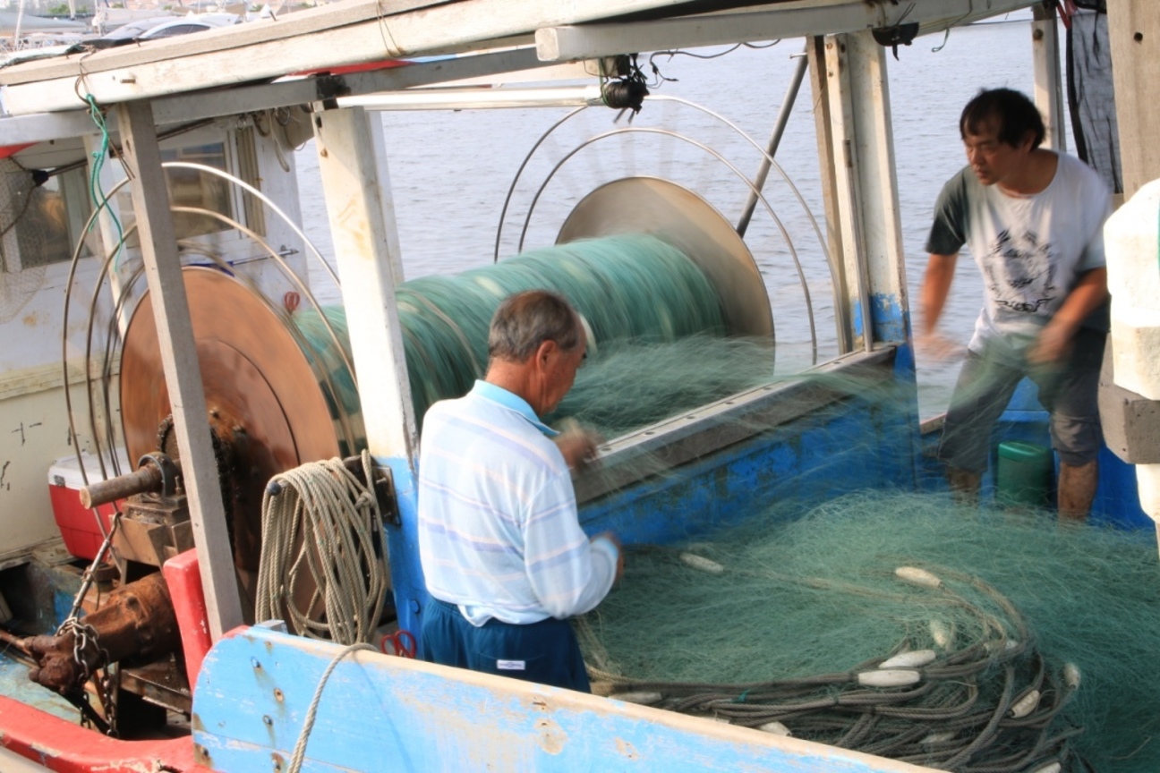 <收網>圖、文／阿凱　CC│BY-NC-SA