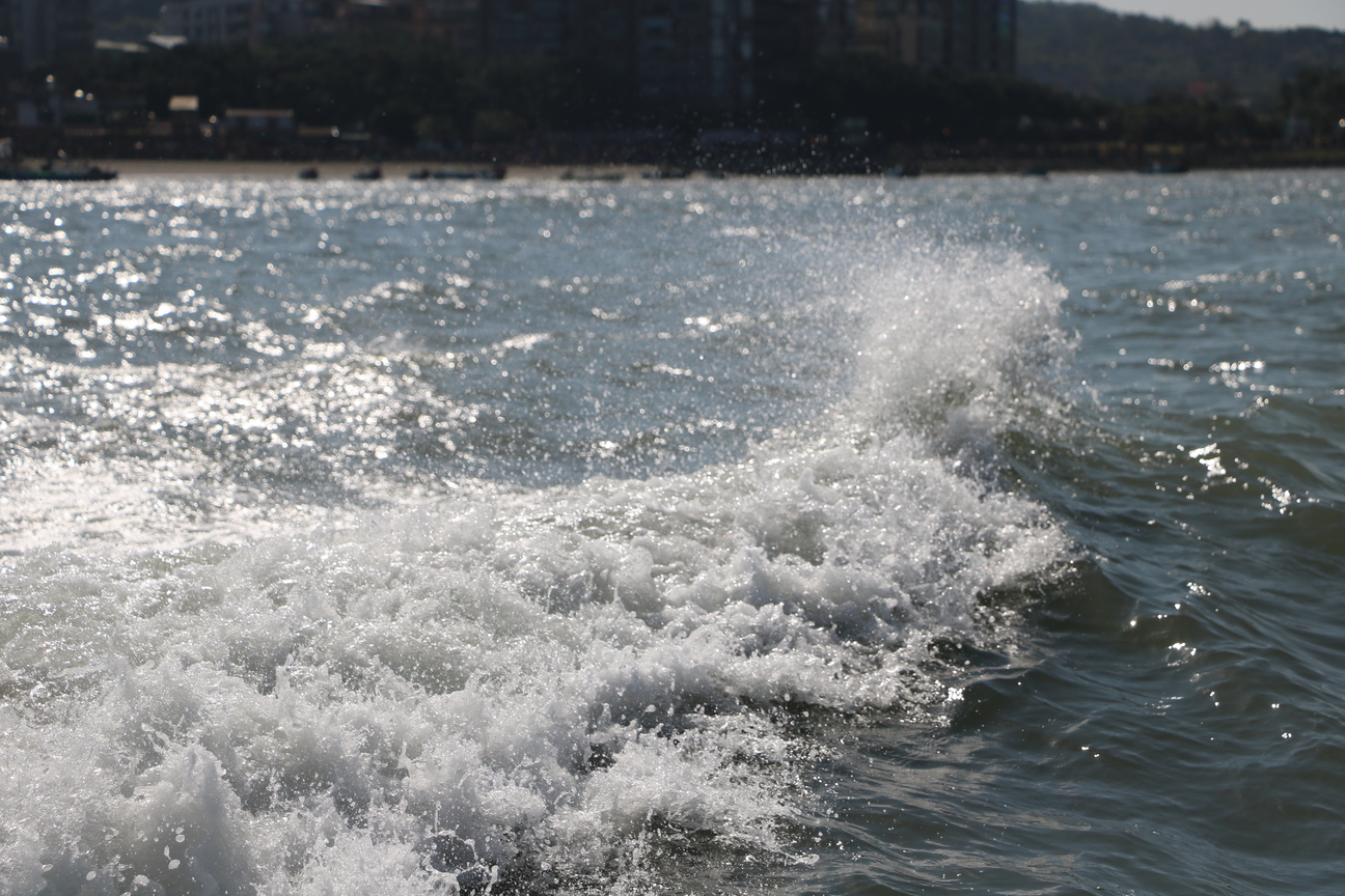 海浪滔滔我不怕