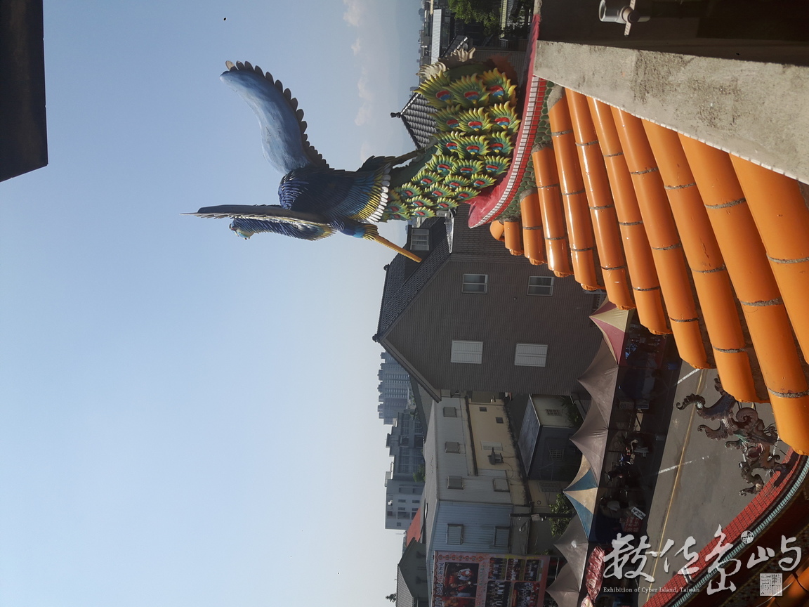 20180729_094618.jpg