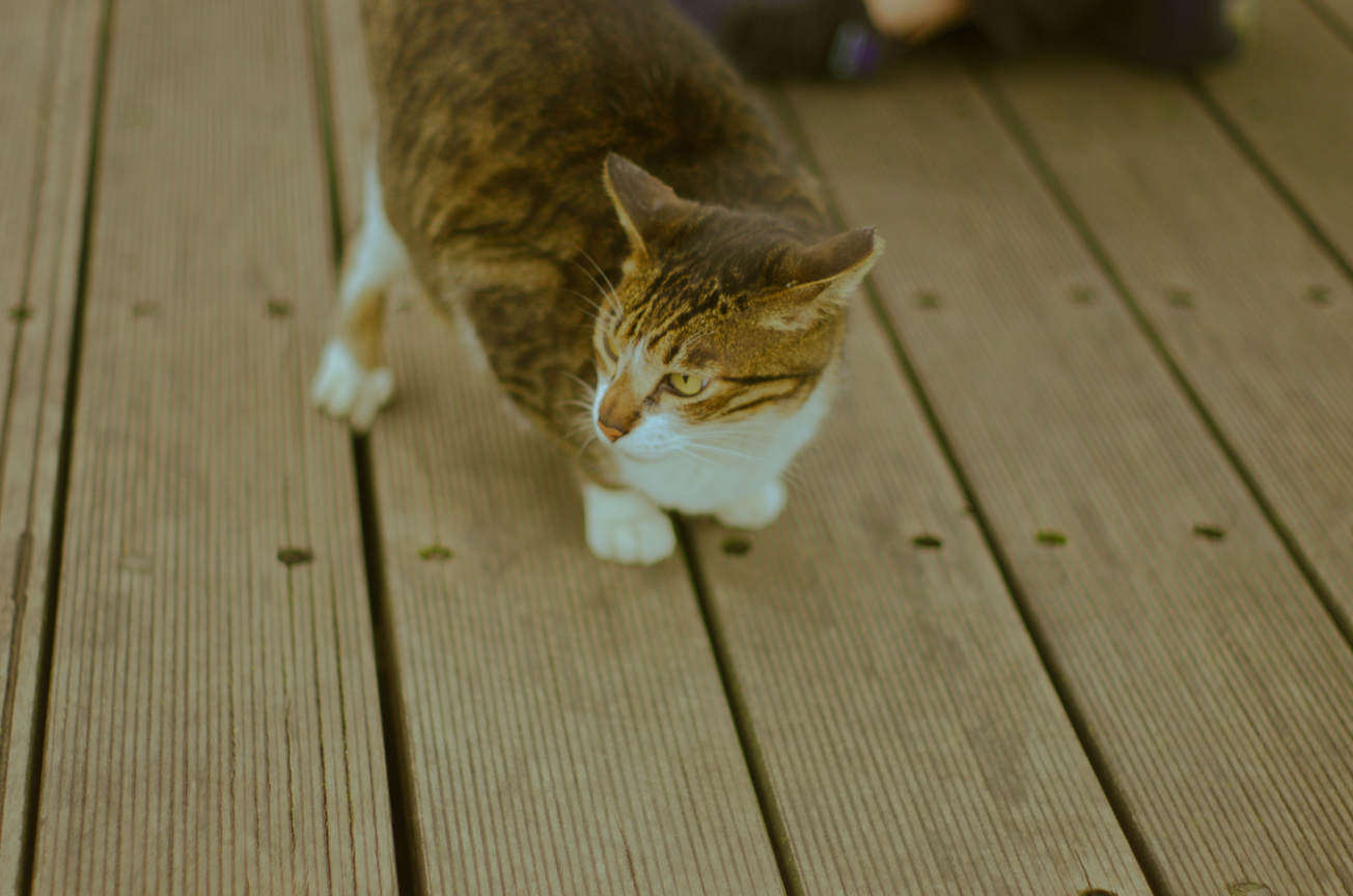猴硐