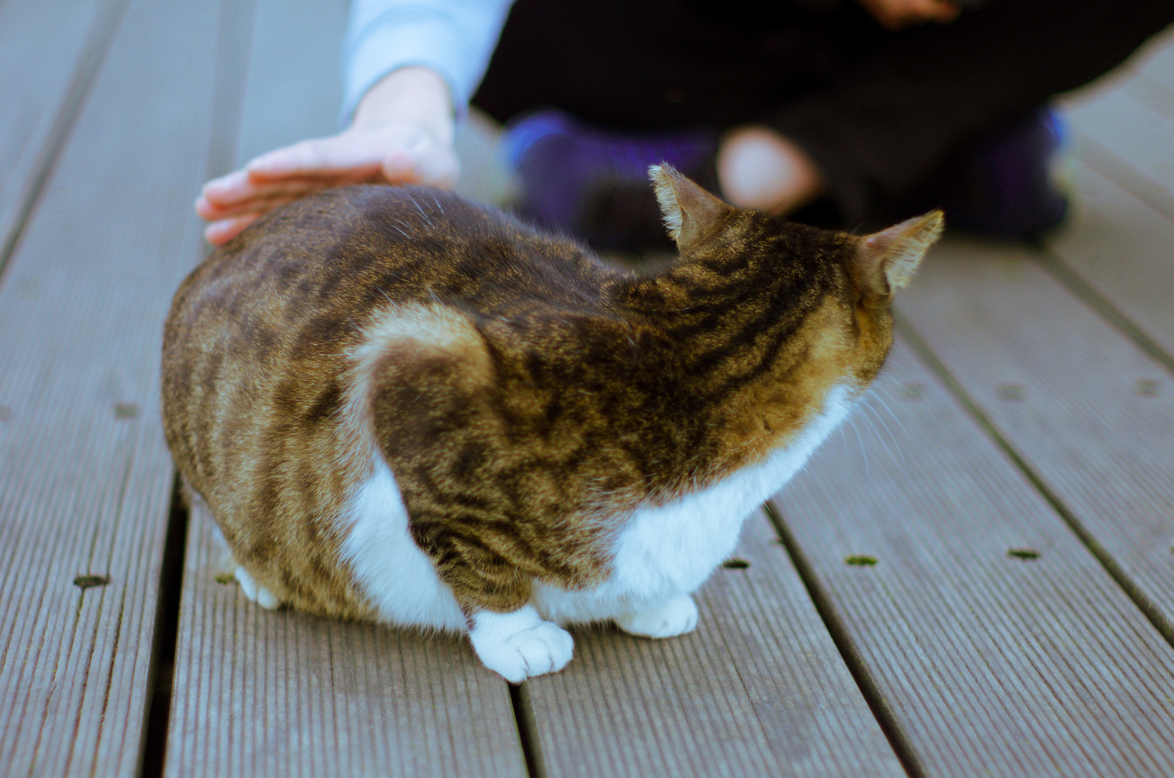 猴硐