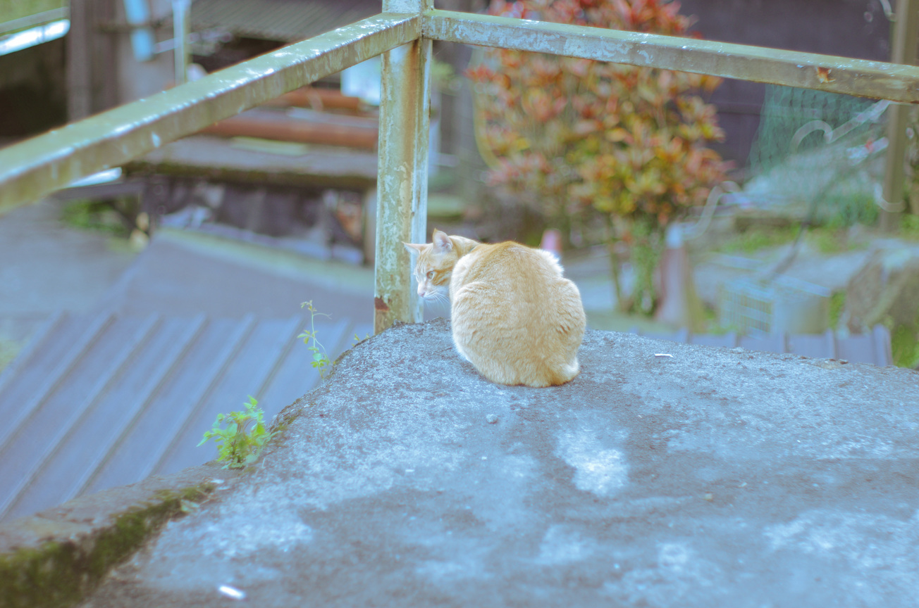 猴硐