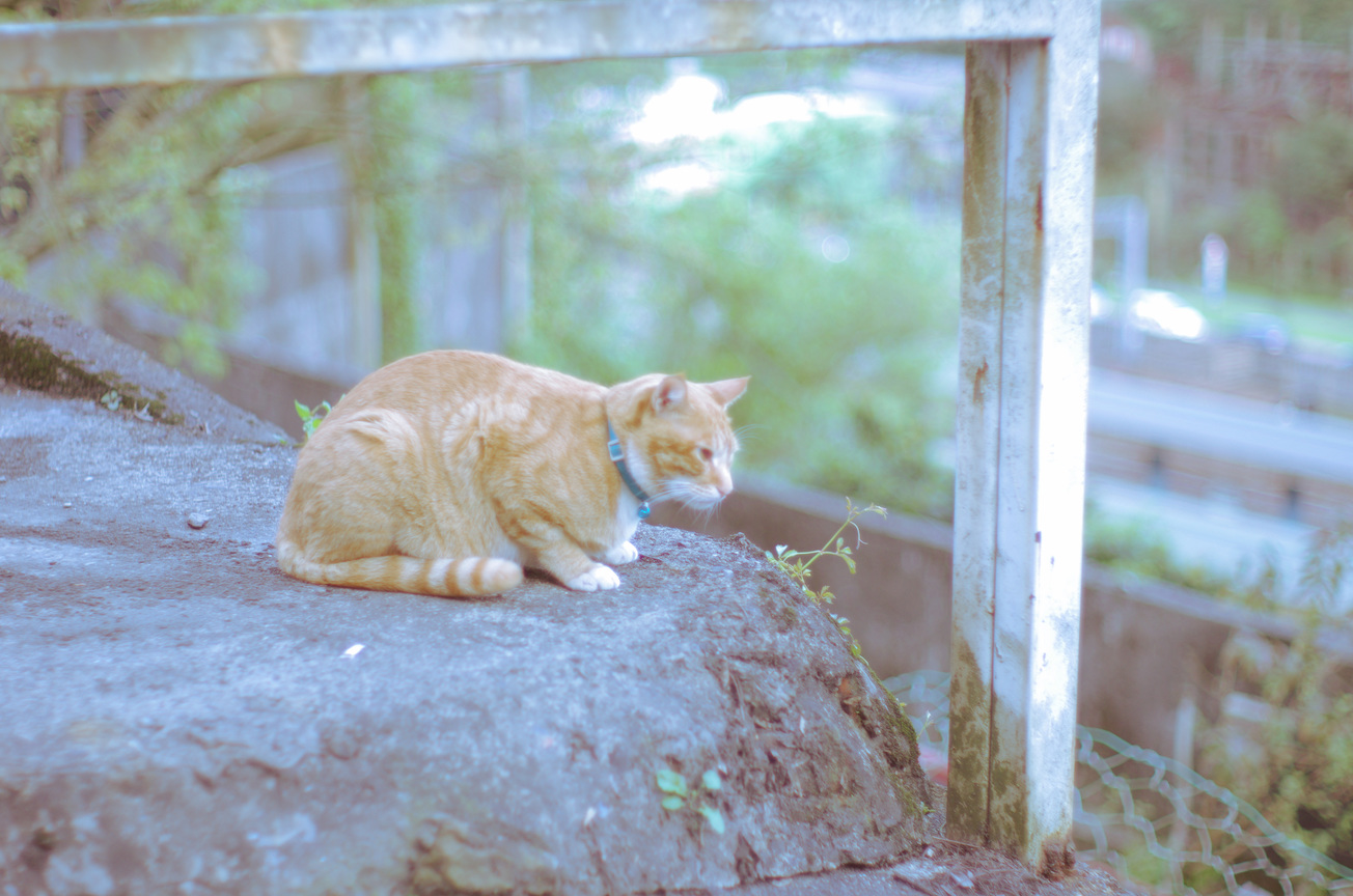 猴硐