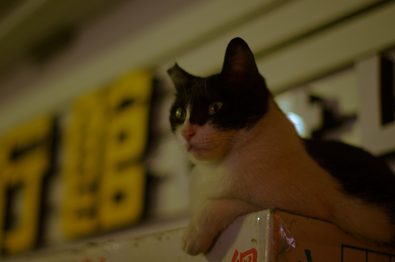 猴硐