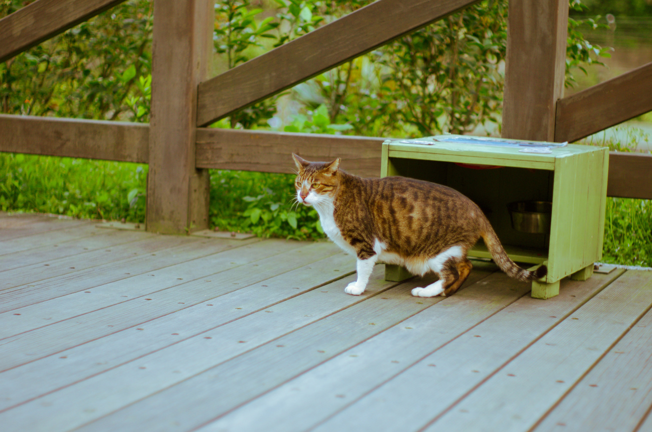 猴硐