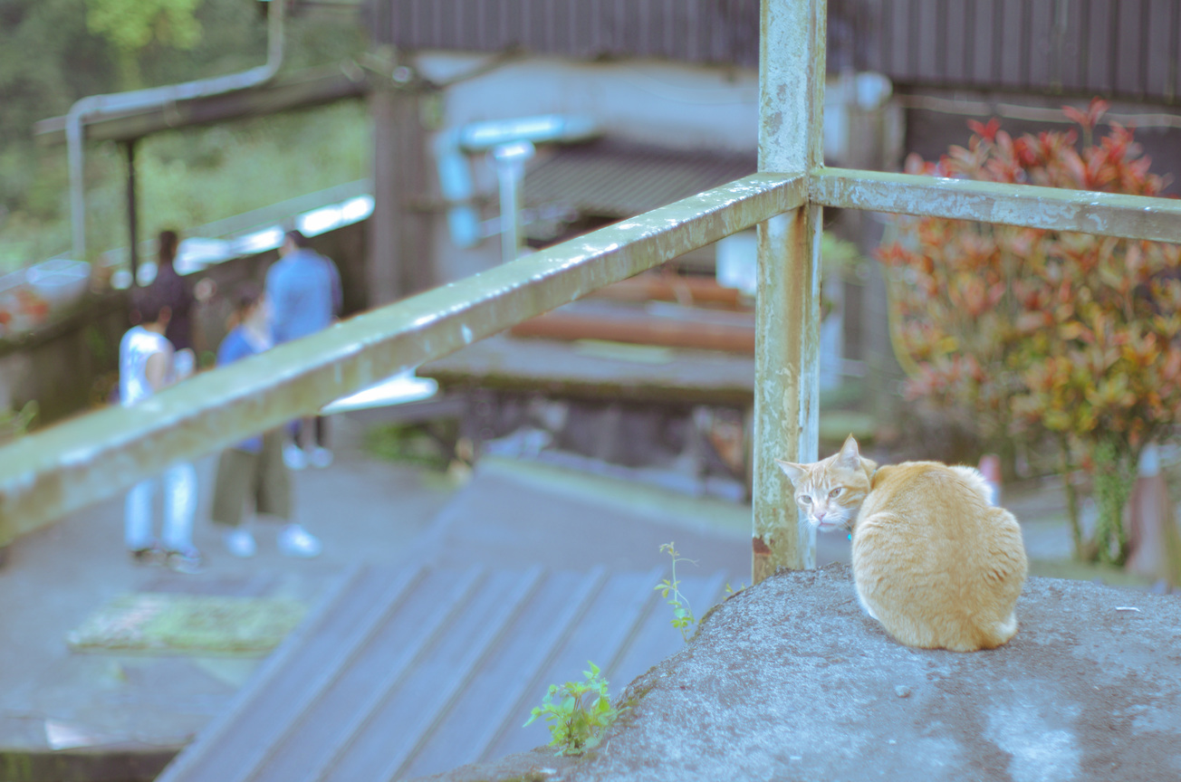 猴硐
