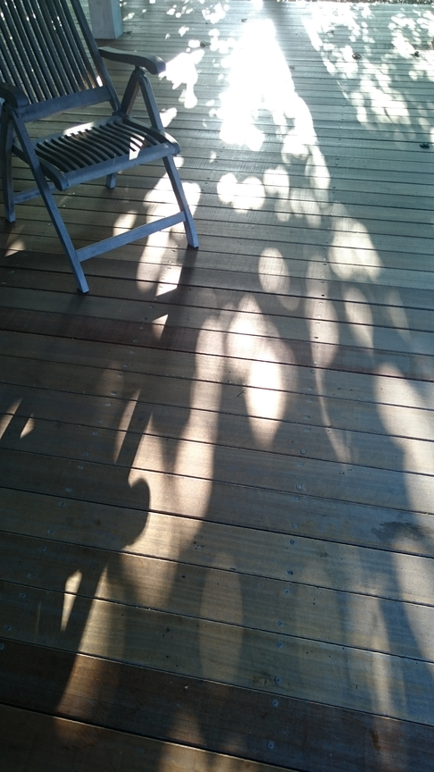 椅子和光影的對話