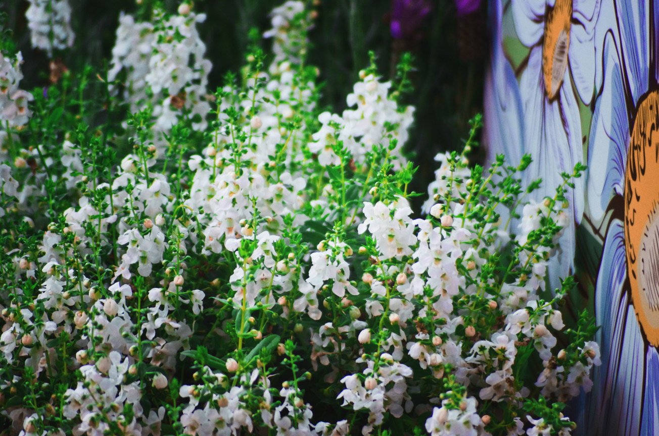 花