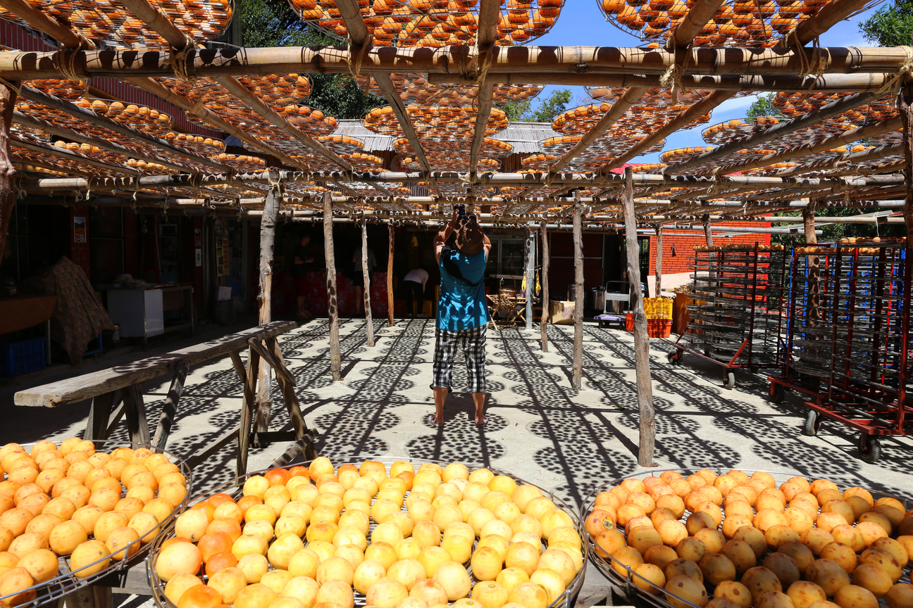 柿餅光影 - 2