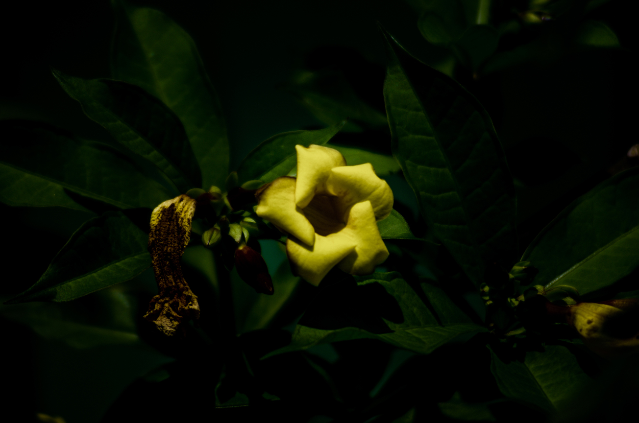 IMGP7889.jpg