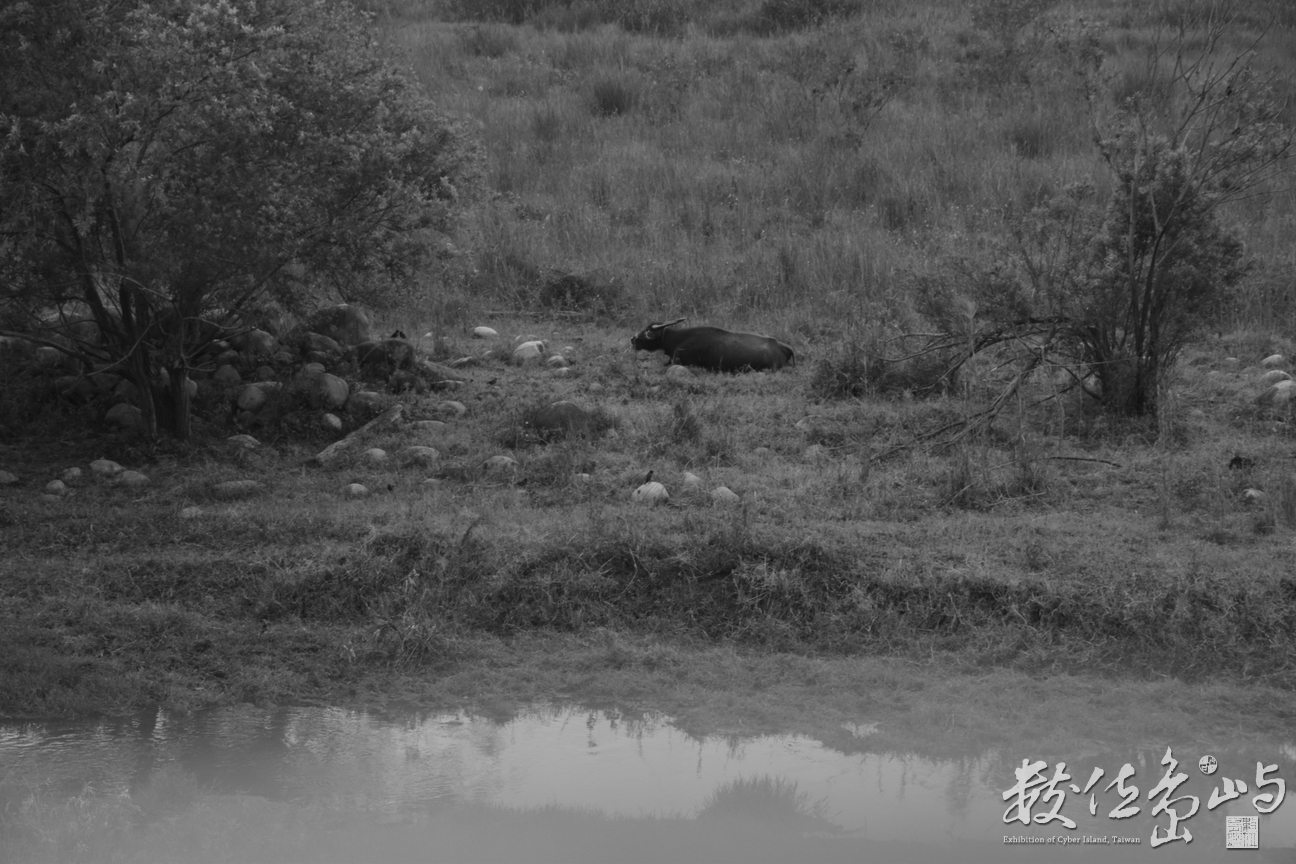 農趣．合唱團〈不一樣的午後〉