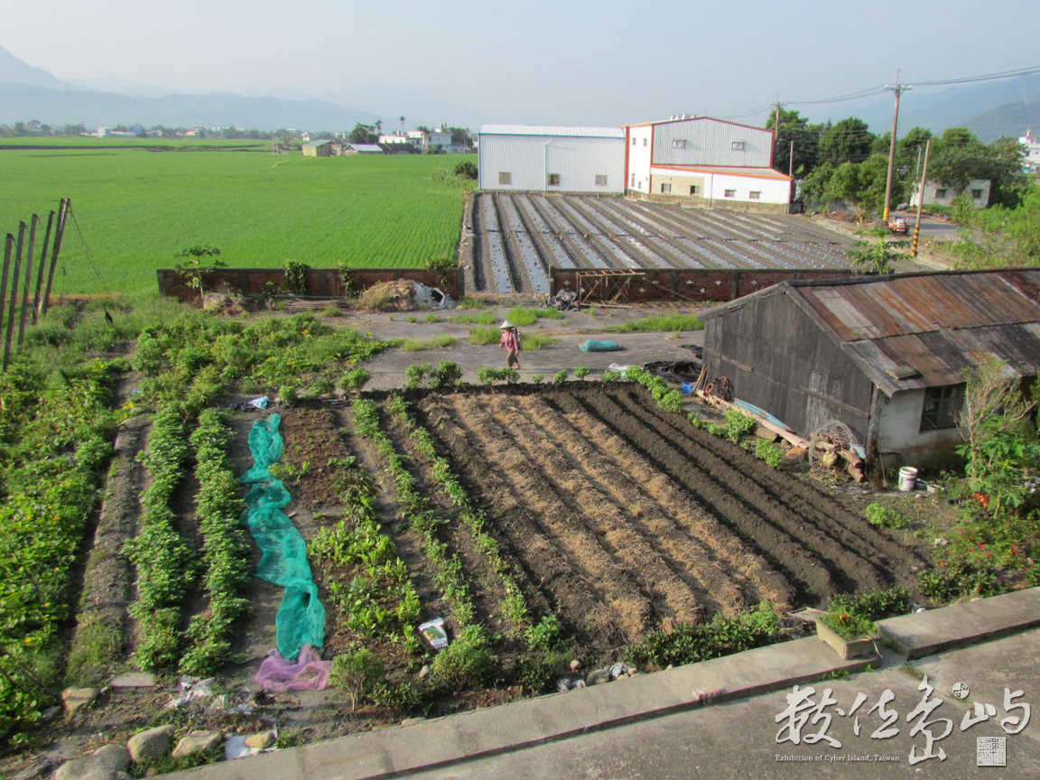 縱谷農村晨景