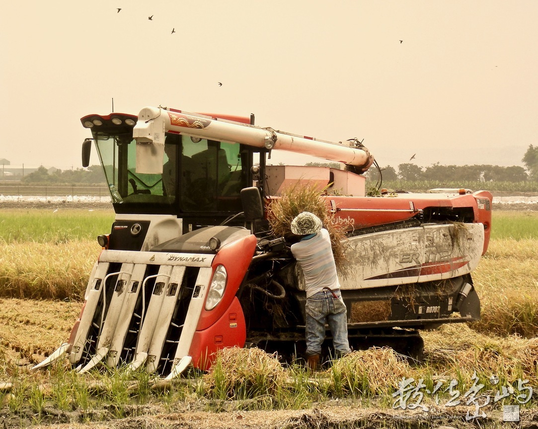 收割