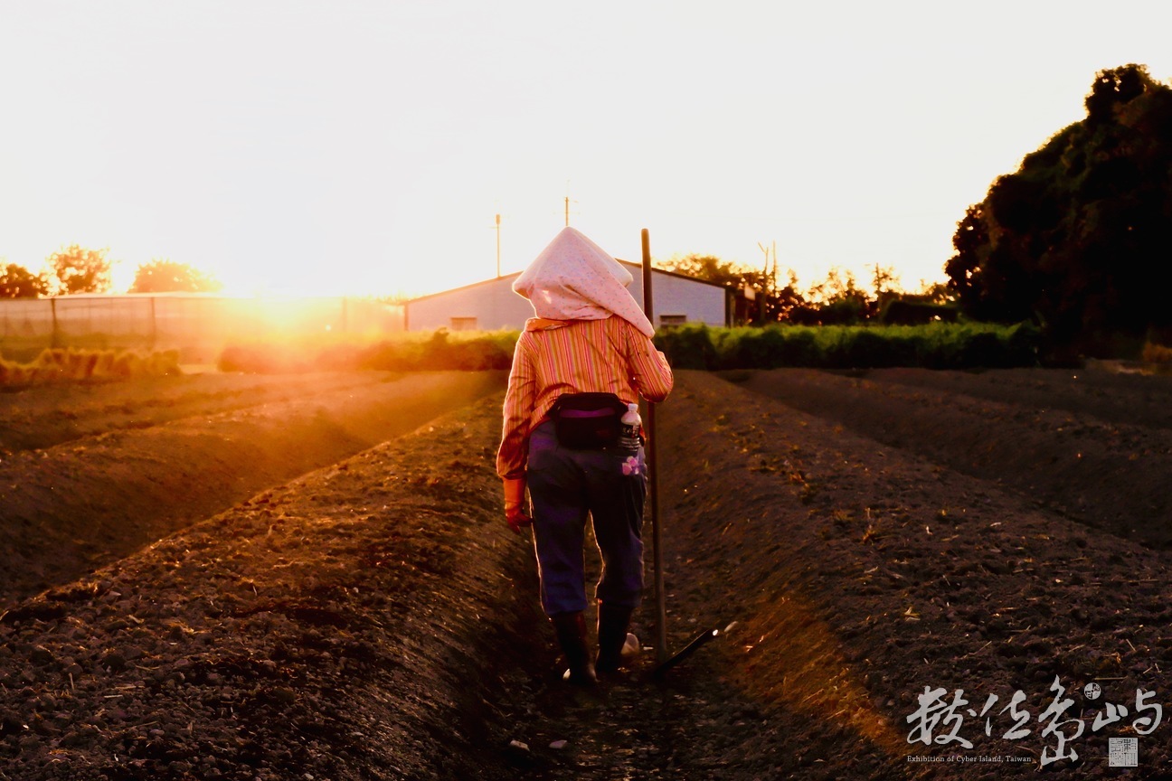 夕陽下的妳