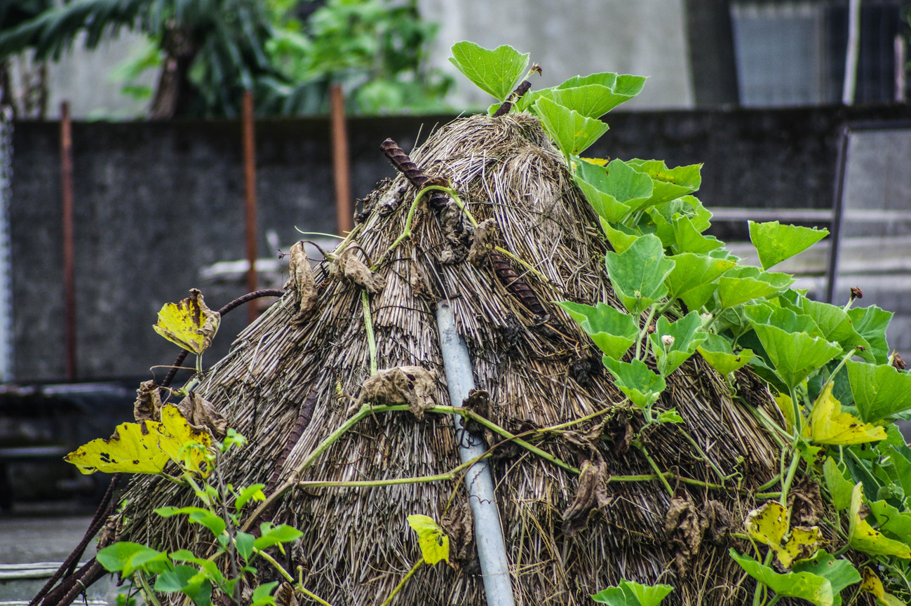 鋼筋與水管交融自然間