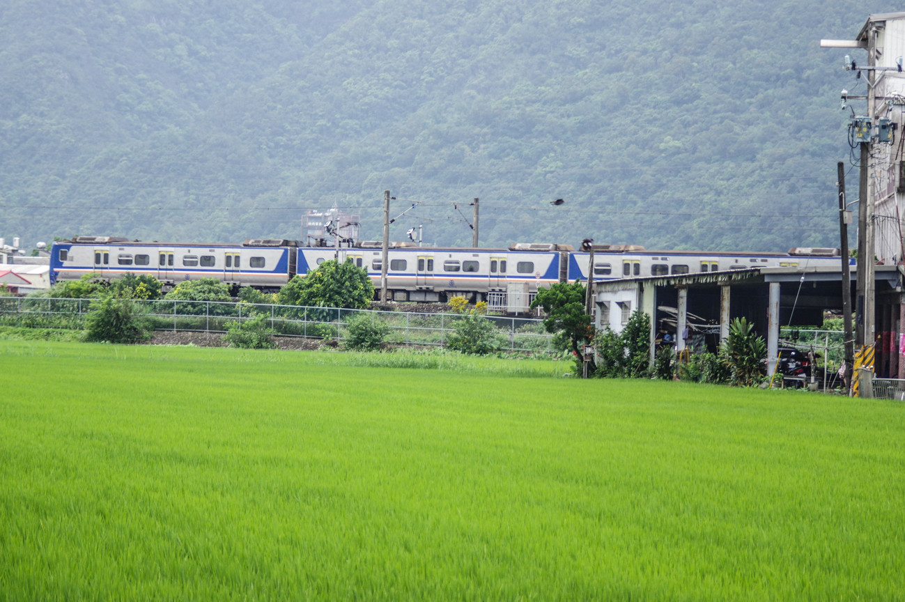 田野間