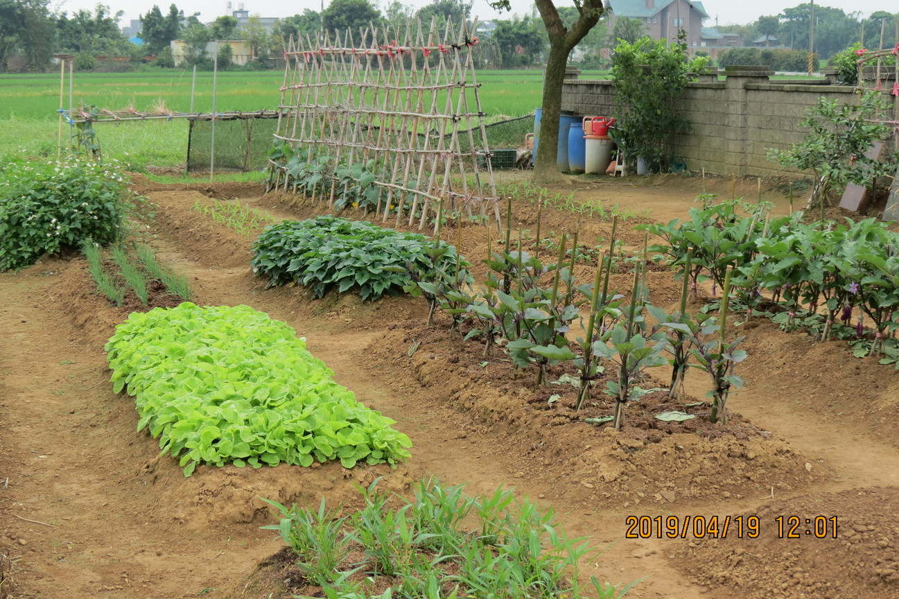小菜園