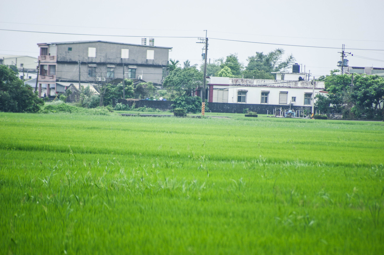 農村景