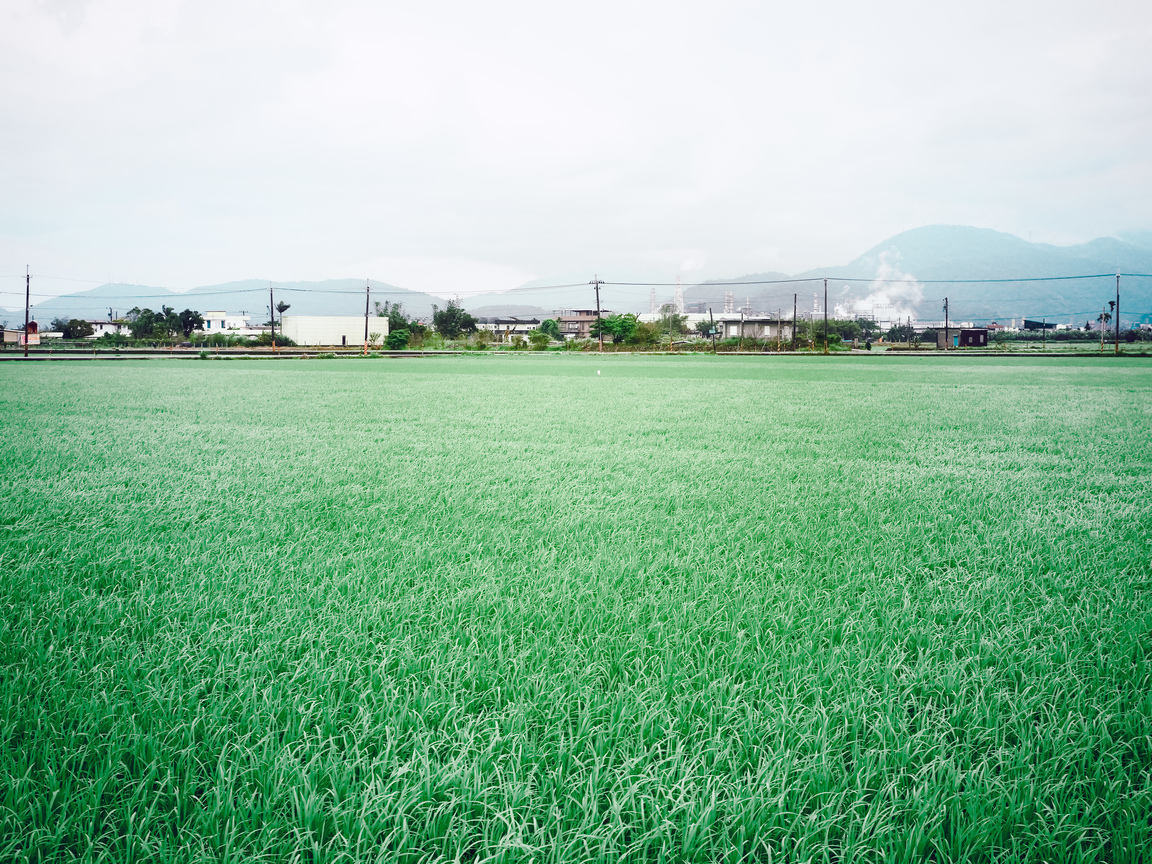 藍天綠地的農村