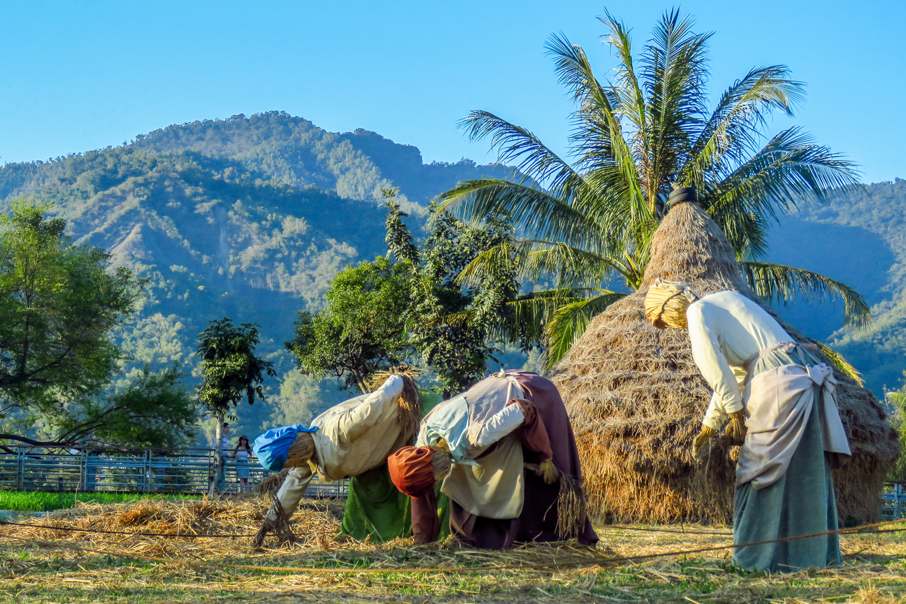 美濃山下的拾穗