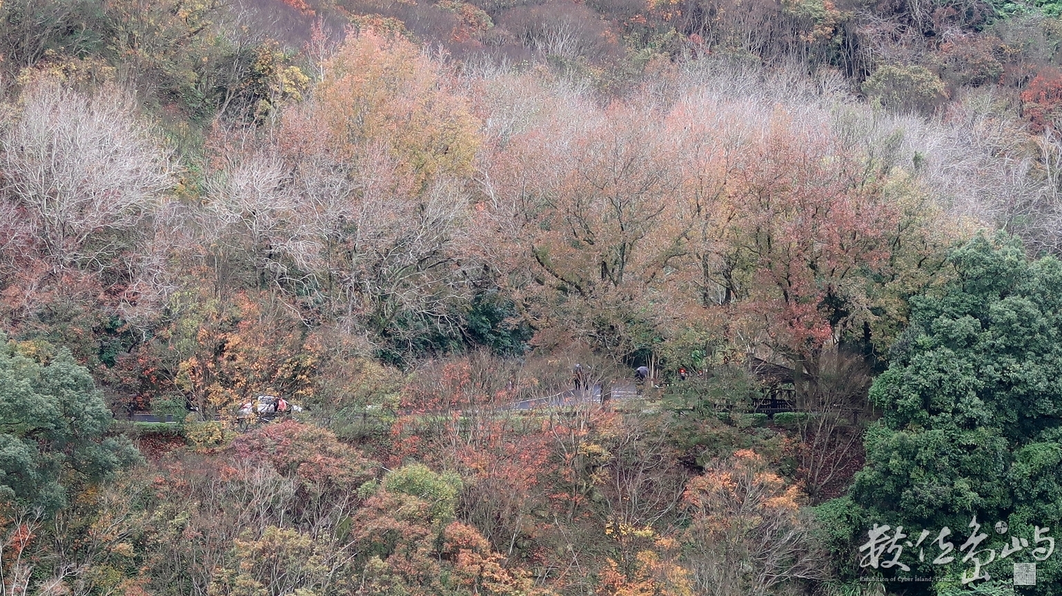 石門水庫楓情畫