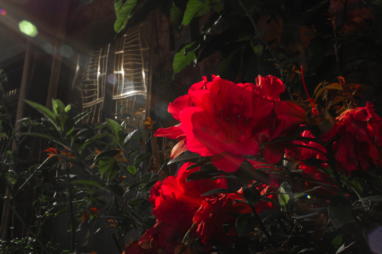 花