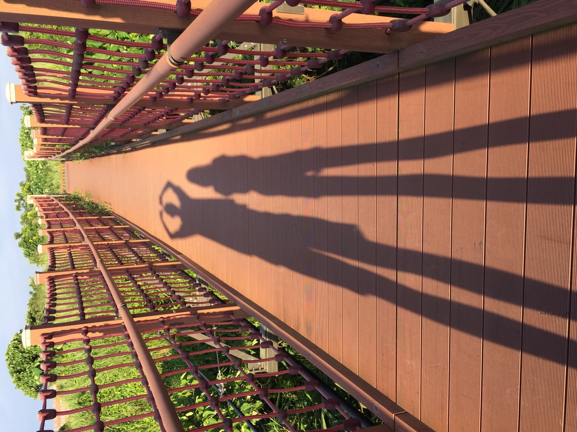 我和女兒的長影