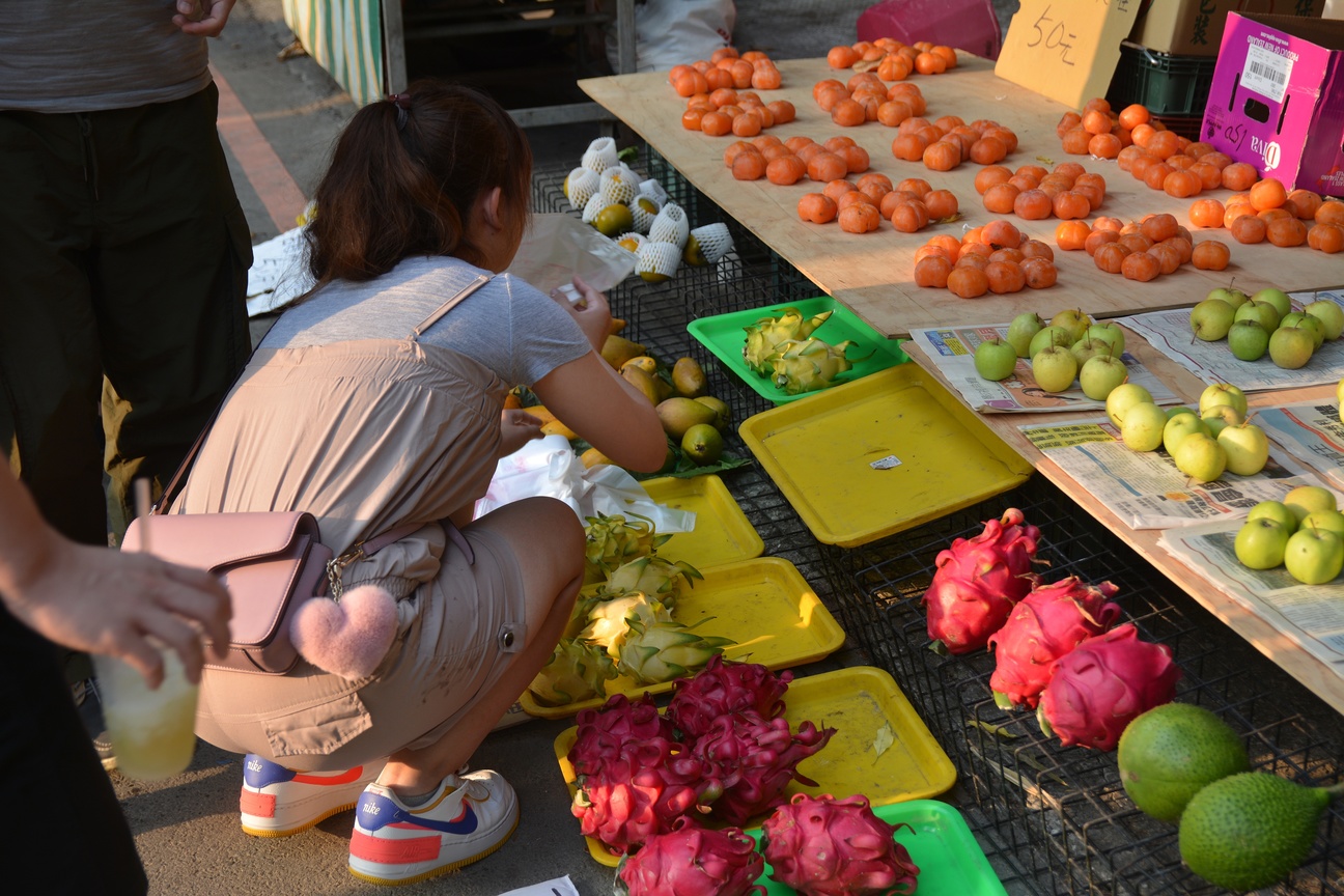 古坑鄉綠色隧道水果攤