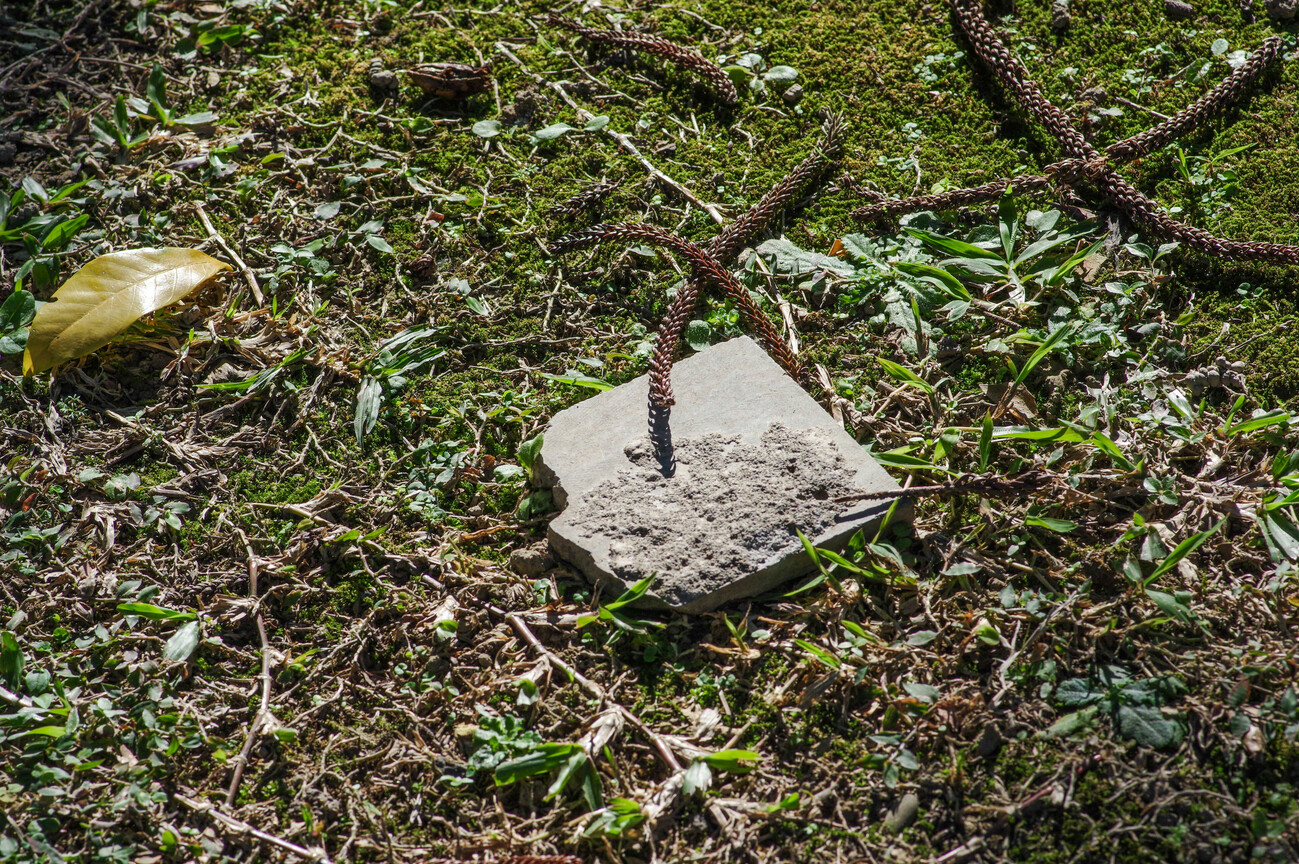 BIRD9211.jpg
