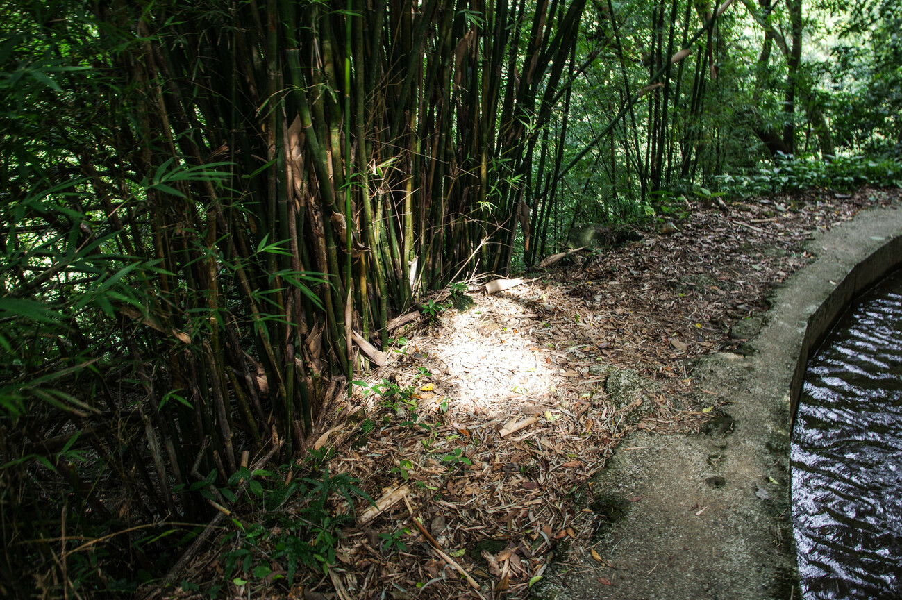 陽明山
