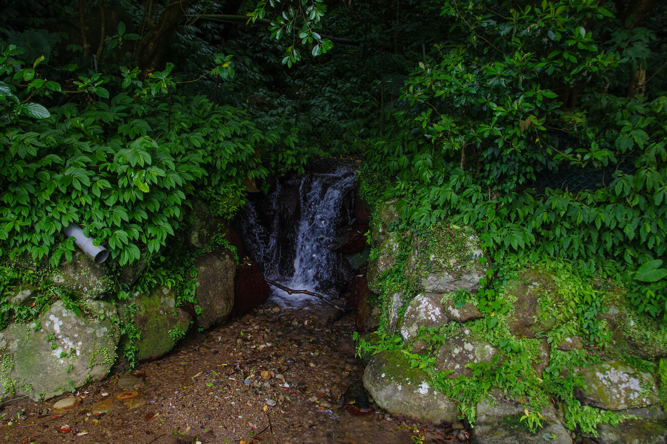 陽明山