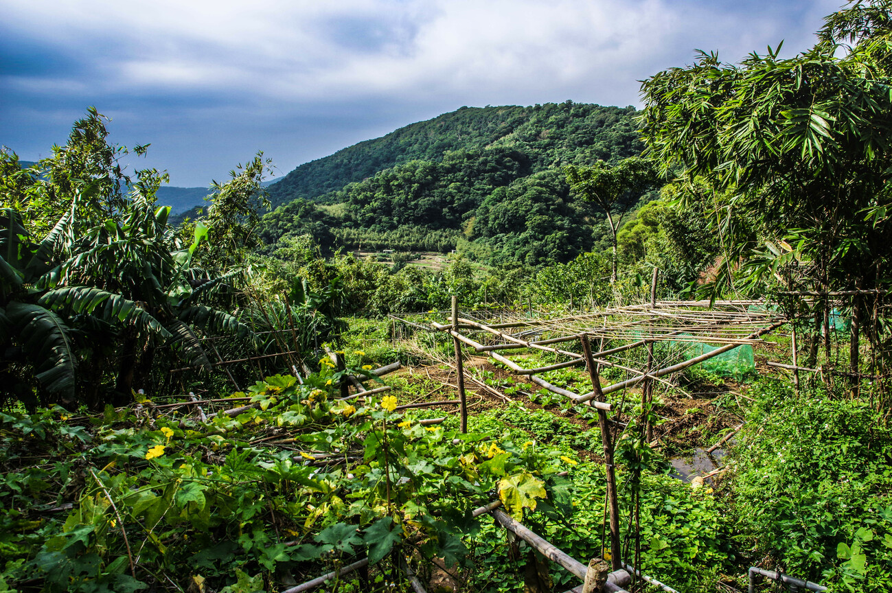 陽明山