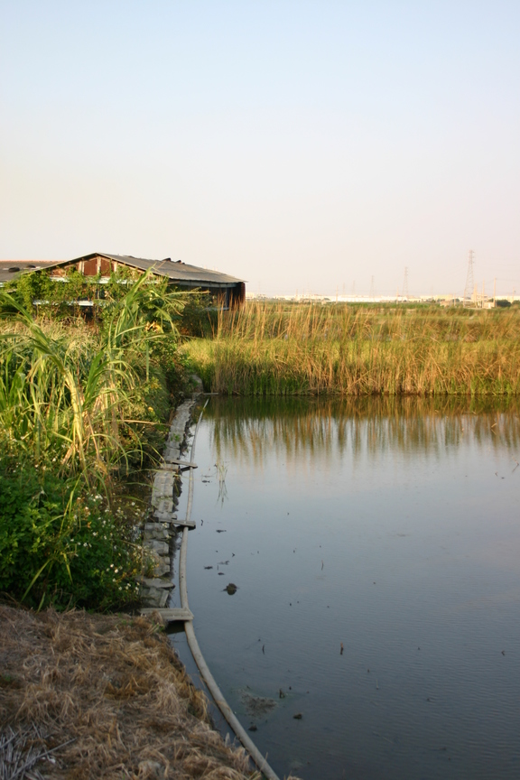 再現美麗島2007年數位�
