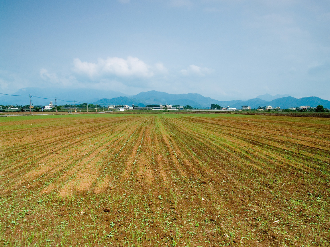 田野風光