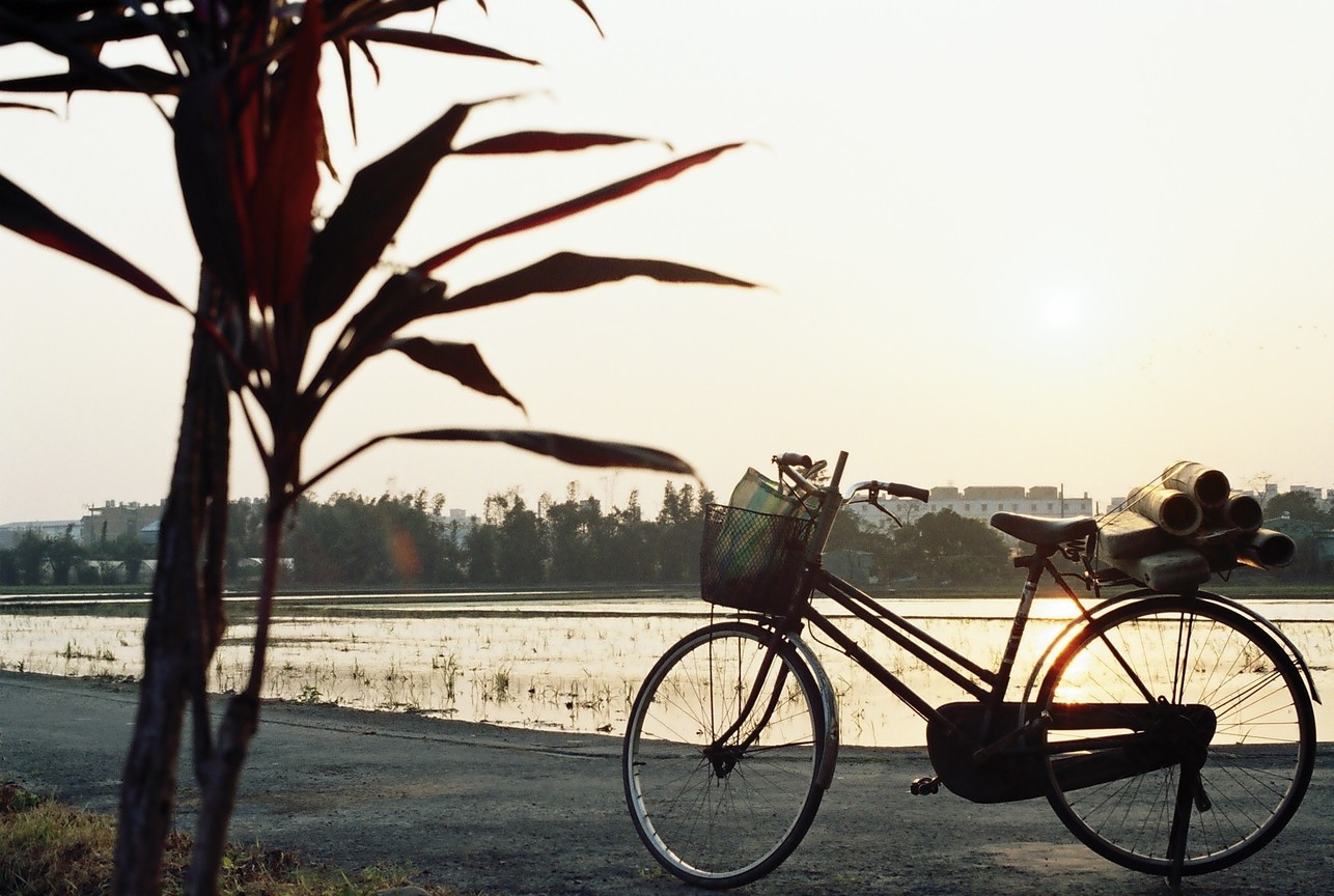 再現美麗島2007年數位�