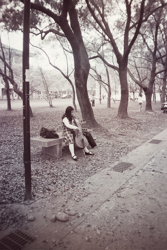 林間的提琴女孩