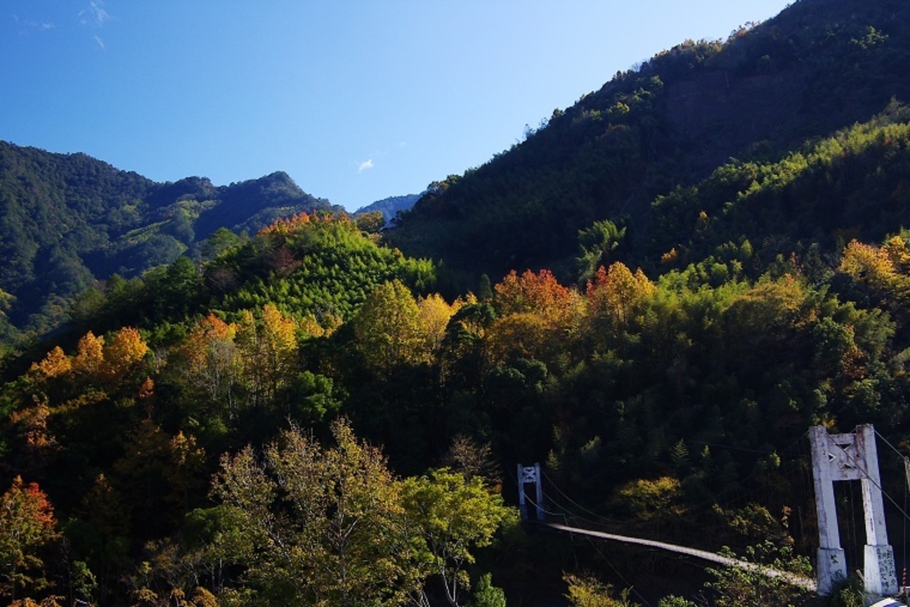 再現美麗島2007年數位�