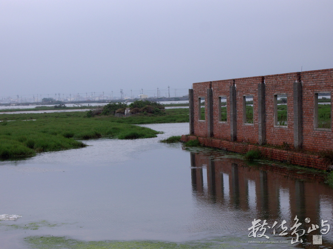 雲林線口湖鄉－池中物