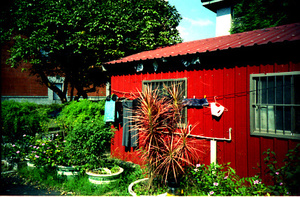 史語所後方的神秘小屋(LOMO)