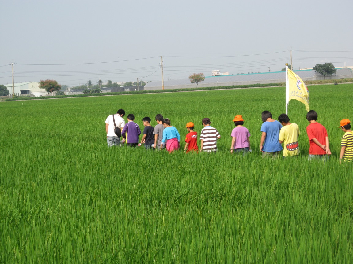 有機米專區體驗