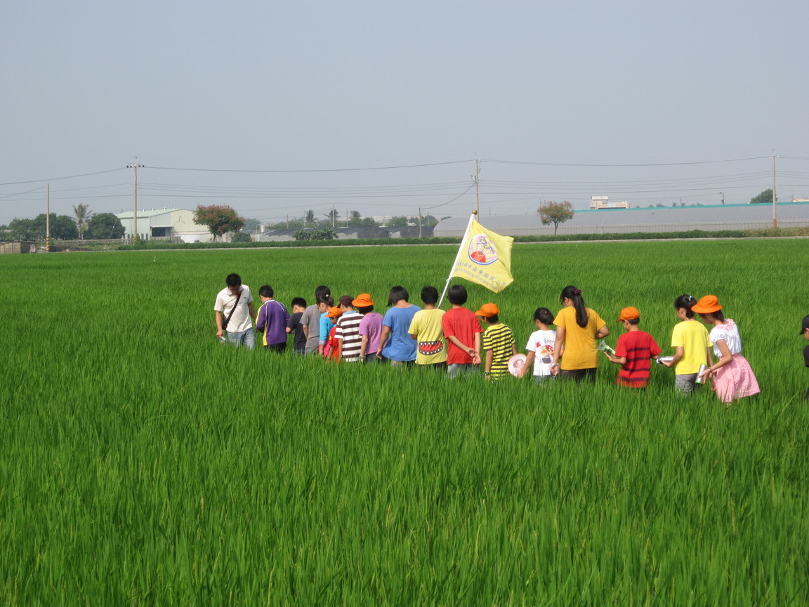 有機米專區體驗