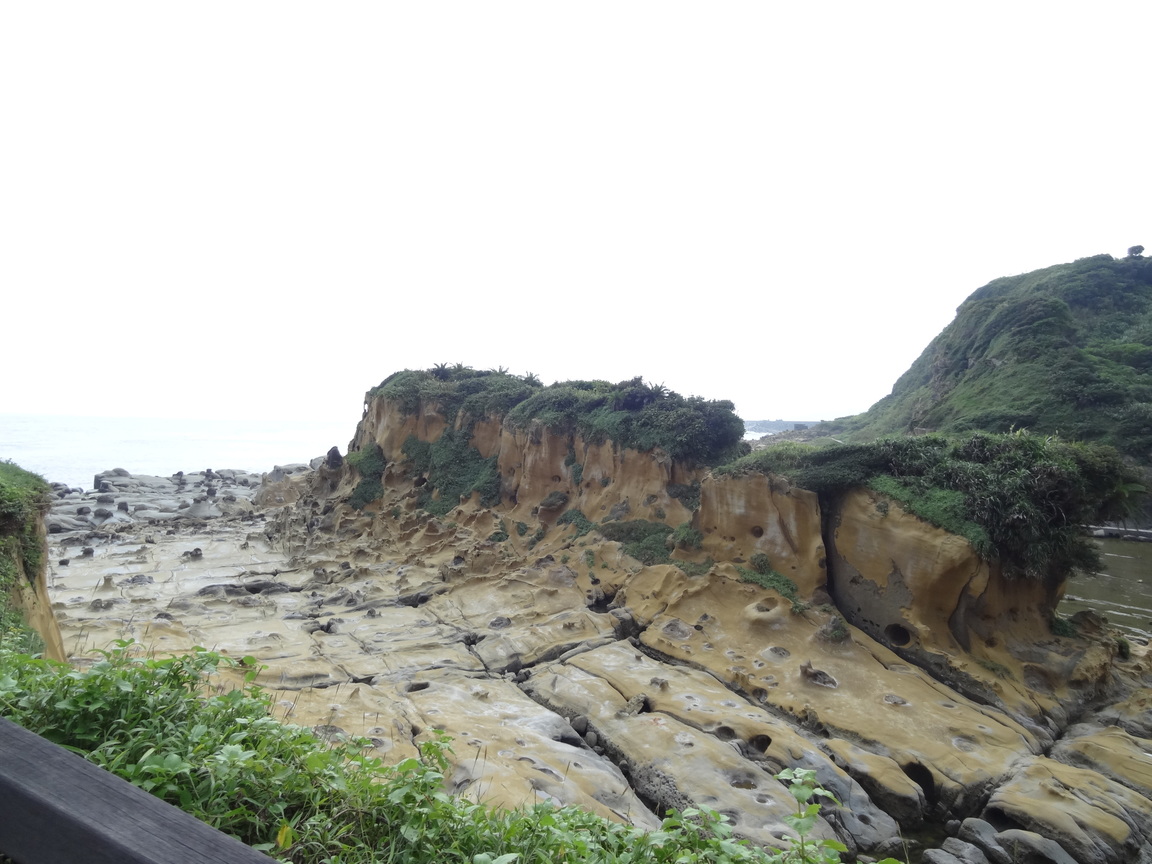 DSC01917.JPG