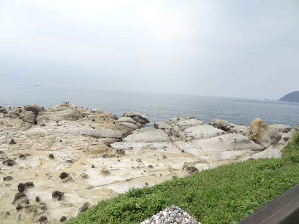DSC01831.JPG