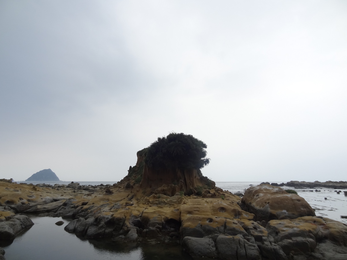 DSC01940.JPG