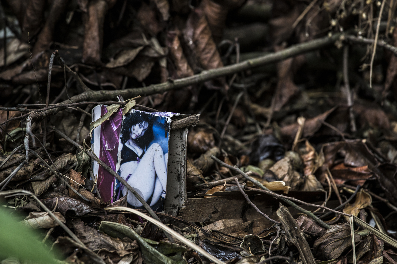 落葉森林的美女